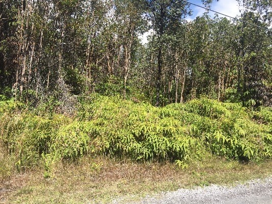 MAKOA RD, Volcano, HI 96785