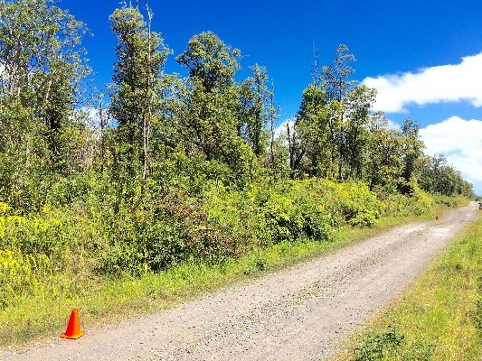 Jungle King Lot 59, Volcano, HI 96785