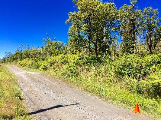 Jungle King Lot 59, Volcano, HI 96785