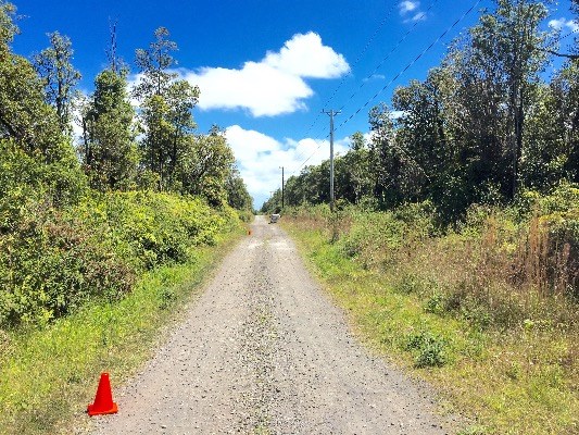 Jungle King Lot 59, Volcano, HI 96785