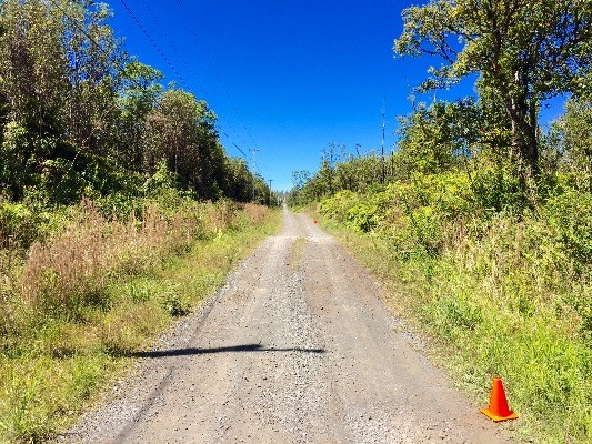 Jungle King Lot 59, Volcano, HI 96785