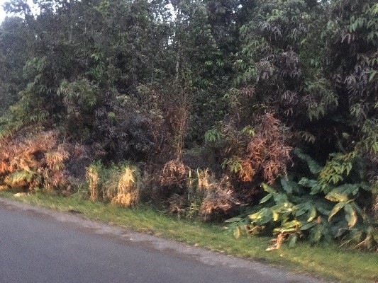 NINTH ST, Volcano, HI 96785