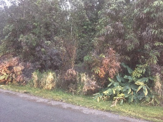 NINTH ST, Volcano, HI 96785