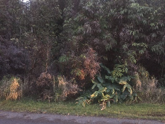 NINTH ST, Volcano, HI 96785