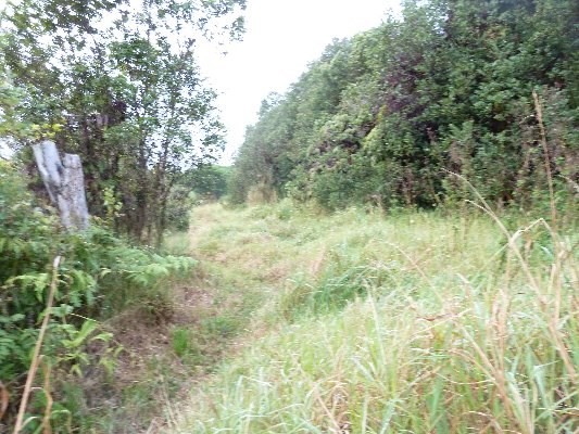 N.GLENWOOD ROAD, Volcano, HI 96785