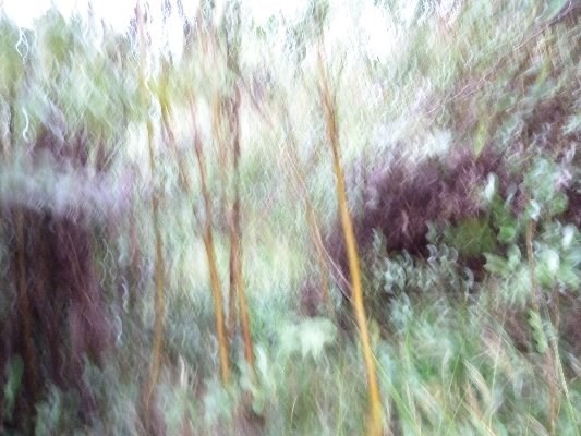 N. GLENWOOD ROAD, Volcano, HI 96785