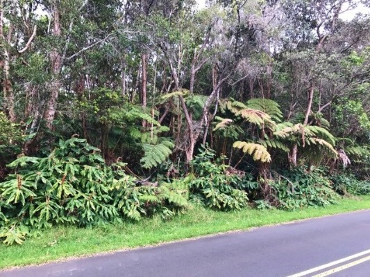 WRIGHT RD, Volcano, HI 96785