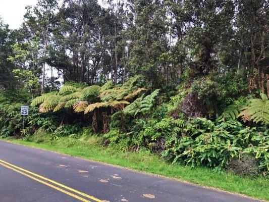 WRIGHT RD, Volcano, HI 96785