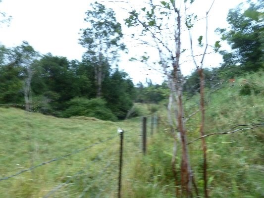 18-2320 N GLENWOOD RD, Volcano, HI 96785