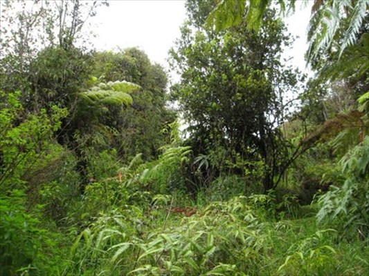 N.Glenwood Rd., Glenwood, HI 96785
