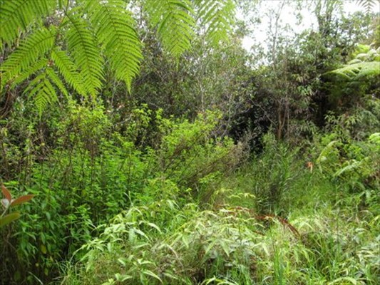 N.Glenwood Rd,, Glenwood, HI 96785