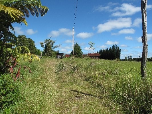 18-3325 S GLENWOOD RD, Volcano, HI 96785