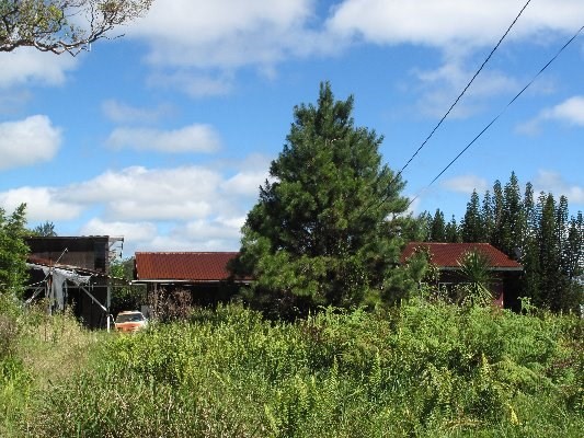 18-3325 S GLENWOOD RD, Volcano, HI 96785
