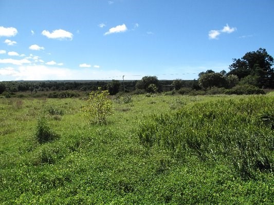 18-3325 S GLENWOOD RD, Volcano, HI 96785