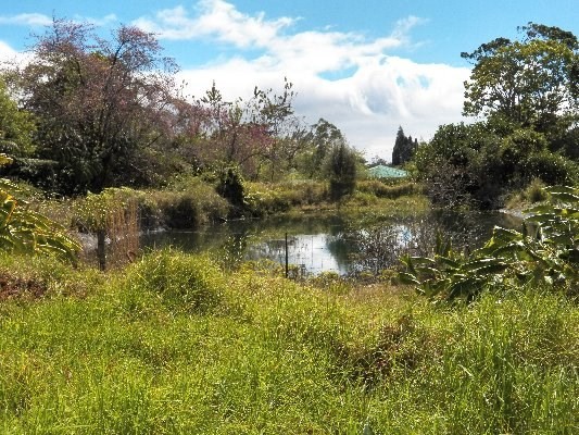 19-4705 Amaumau Road, Volcano, HI 96785