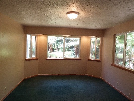 19-4136 WRIGHT RD, Volcano, HI 96785