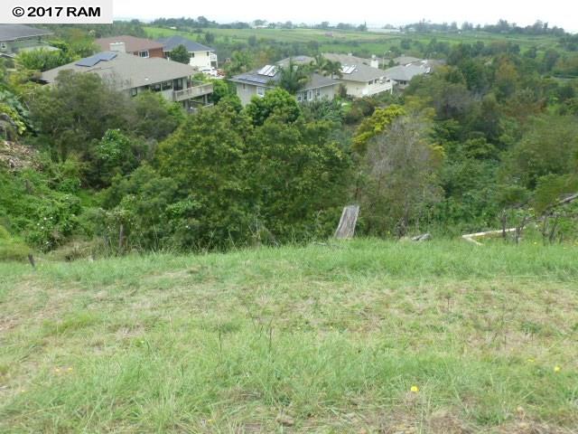 152Kulamanu, Kula, HI 96790