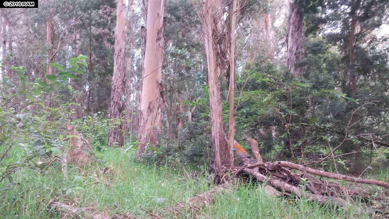 Lot 21-CHaleakala, Kula, HI 96790