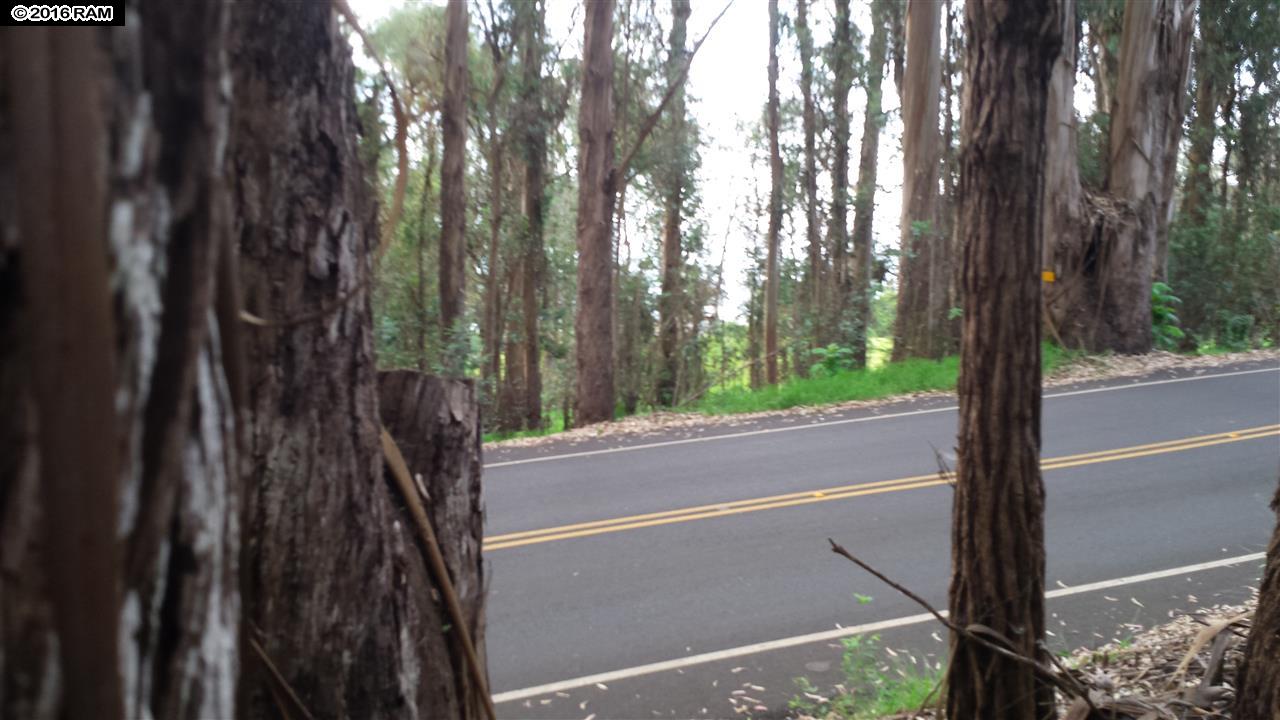 Lot 21-CHaleakala, Kula, HI 96790