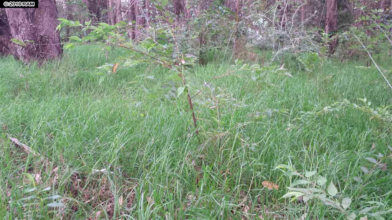 Lot 21-CHaleakala, Kula, HI 96790