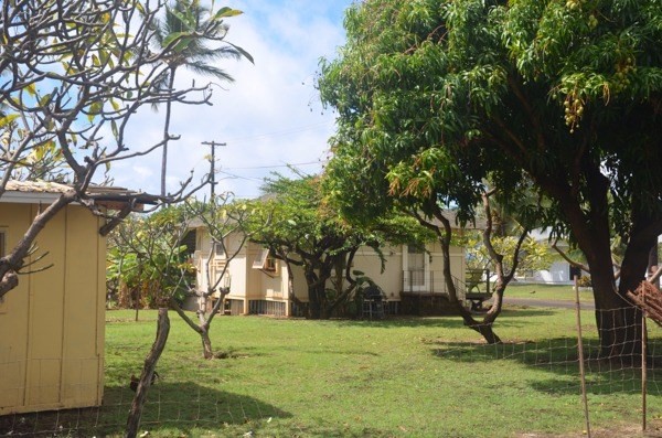 4470 HALEPULE RD, Waimea, HI 96796
