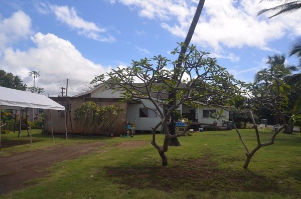 9861 KAHAKAI RD, Waimea, HI 96796