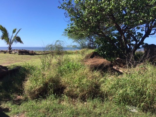 9861 KAHAKAI RD, Waimea, HI 96796