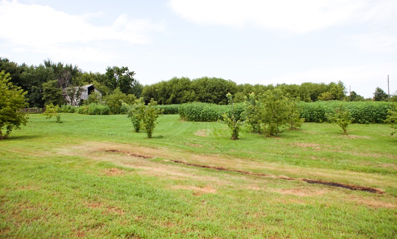 2588 Eagle, Waverly, IA 50677