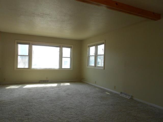 807 Forest AveWaterloo, IA, 50702Black Hawk County