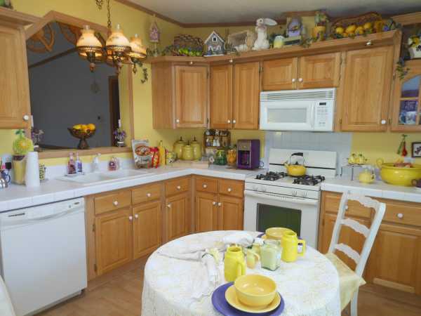 Maple Brook342 Tulip Cir.Matteson, IL 60443