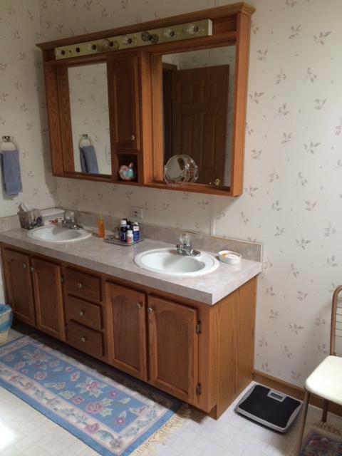 Golf Vista Estates25723 Olympic DriveMonee, IL 60449