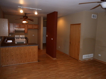 145 Sunset TrlNew Lenox, IL, 60451Will County