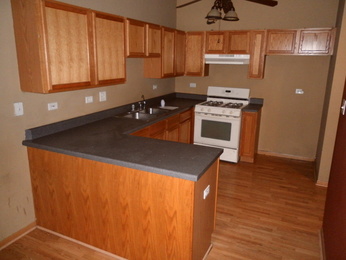 145 Sunset TrlNew Lenox, IL, 60451Will County