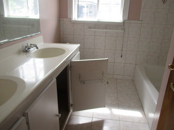 313 N Orchard DrPark Forest, IL, 60466Cook County