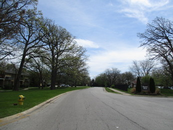 820 Sandra Dr Apt 3aUniversity Park, IL, 60484Will County