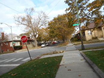 7601 S Oglesby AveChicago, IL, 60649Cook County