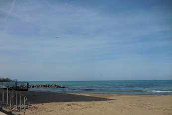 2772 E 75th St #N2lChicago, IL, 60649Cook County