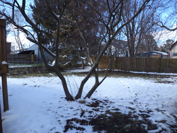 811 W Grove StBloomington, IL, 61701Mclean County