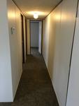 305 LAURY ST
