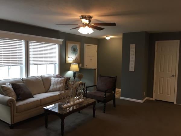 17245 B E IL Highway 142 ,IL, Opdyke, 62872