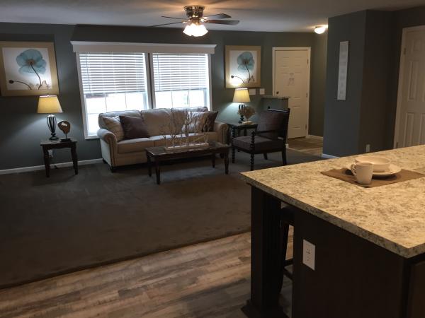 17245 B E IL Highway 142 ,IL, Opdyke, 62872