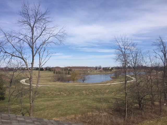 3346 Shelborne Woods Parkway, Carmel, IN 46032