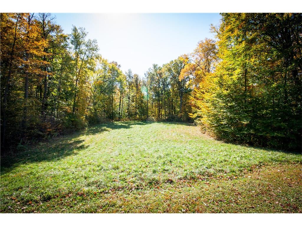 6650 Montana Springs Drive, Zionsville, IN 46077