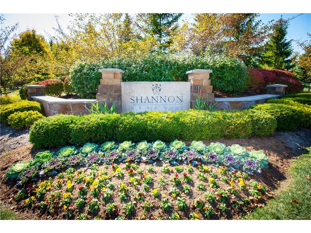 6650 Montana Springs Drive, Zionsville, IN 46077