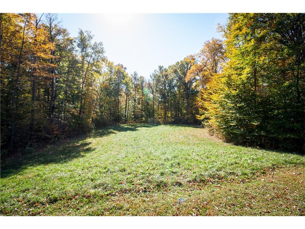 6650 Montana Springs Drive, Zionsville, IN 46077