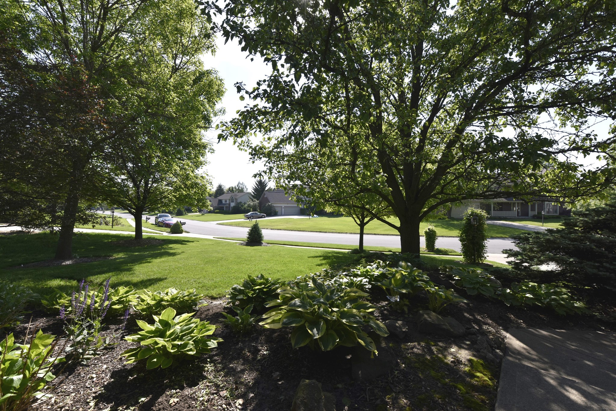 972 Franklin Trace, Zionsville, IN 46077