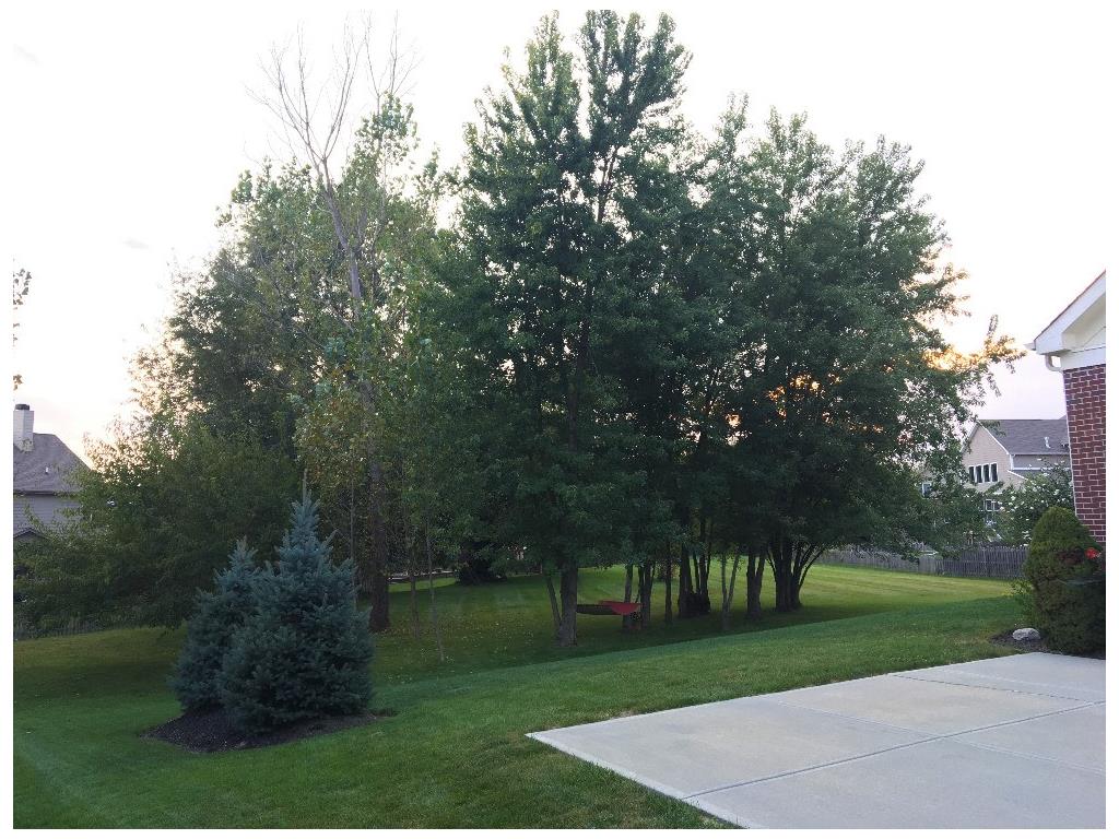 7819 Whiting Bay Drive, Brownsburg, IN 46112