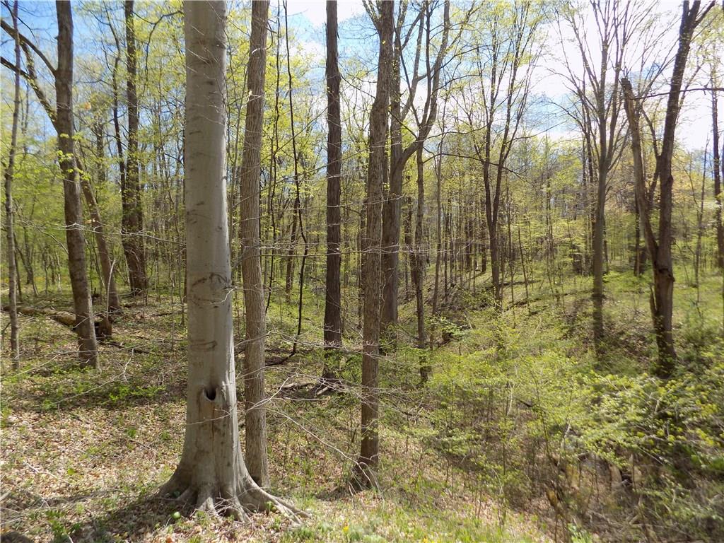6023 West 275 S, Greencastle, IN 46135