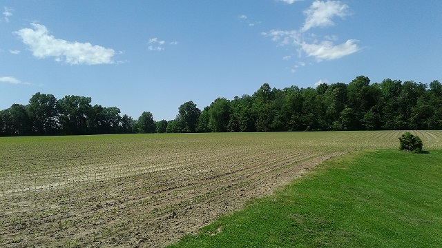 10800 AREND Road, Martinsville, IN 46151