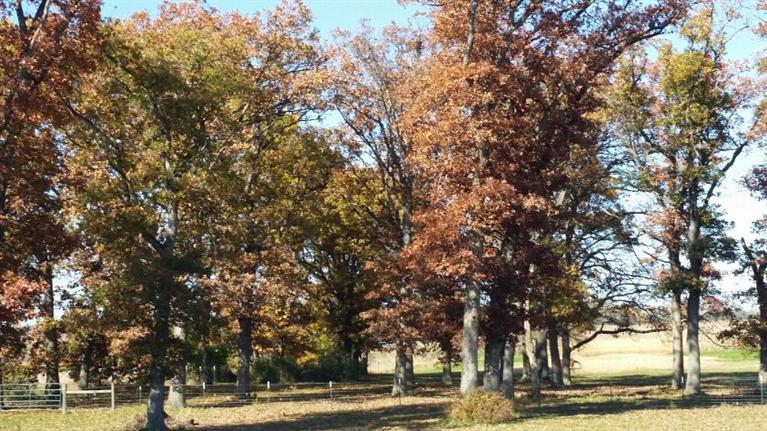 9474 West 219th Avenue, Lowell, IN 46356